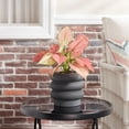 thumbnail image 4 of Better Homes & Gardens 6" Ceramic Bubble Planter Pot-Black, 4 of 7