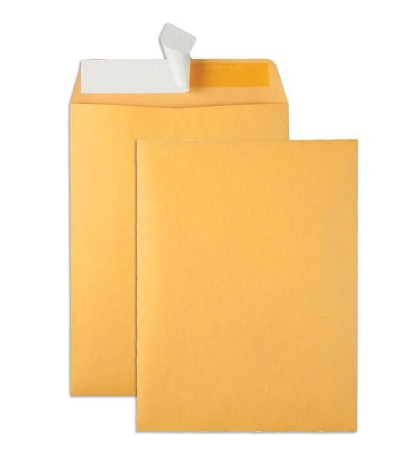 Quality Park Brown Kraft Peel and Stick Catalog Envelopes