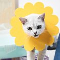 thumbnail image 3 of Collier de Récupération pour Animal en Forme de Tournesol Collier Protecteur pour Animal Collier pour Chaton, 3 of 8