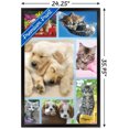 thumbnail image 2 of Keith Kimberlin - Collage de chiots et de chatons, 2 of 4