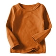 thumbnail image 1 of DPTALR Toddler Kids Boys Girls Shirts Solid Color Round Neck Long Sleeve Top, 1 of 5
