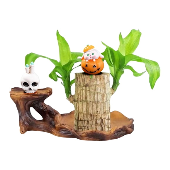 WMQPNNS New Trending Brazilian with Monk Grow Your Own Luck Easy To Maintain Mini Brazil for Indoor/Outdoor Bedroom Kitchen Desk Garden and Todays Deals Clearance Sale