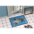 thumbnail image 4 of Carolines Treasures 8830MAT Tapis Intérieur Ou Extérieur de Canard Sarcelle 18 x 27 Po, 4 of 4