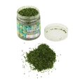 thumbnail image 1 of Esquirla Micro Landscape Leaves Scene Accessories Leaf Garden Architecture Static Scenery green, 1 of 8