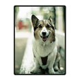 thumbnail image 1 of RYLABLUE Husky Blanket Fleece Throw Blanket for Sofa or Bed 58x80 inches, 1 of 1