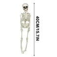 thumbnail image 2 of Halloween Skeletons Life Size,Realistic Human Skeleton Full Body,Movable Posable Joints Skeleton,Creepy Halloween Plastic Skeleton for Graveyard Decorations,Haunted House Props Indoor/Outdoor Decor, 2 of 8