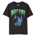 thumbnail image 2 of How to Train Your Dragon Boys' Short Sleeve Tee, 2 of 3