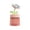 Pink, variant on Birdeem Usb Humidifier with Light ,Quiet Cool Mist Humidifier for Bedroom and Office ,Plants, Easy To Clean