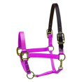 thumbnail image 1 of Perri's Premium Nylon Safety Halter, Hot Pink, Oversize, 1 of 3