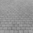 thumbnail image 1 of Ahgly Company Tapis d'Intérieur Lavable à la Machine, Carré, Transitionnel, Gris Nuage Gris, Tapis de Zone, 5 Pieds Carré, 1 of 7