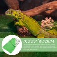 thumbnail image 3 of Lizard Sleeping Bag Reptile Sleeping Cushion with Pillow Cartoon Pattern Reptile Mat, 3 of 9