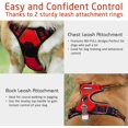 thumbnail image 4 of rabbitgoo Harnais pour Chien, Harnais pour Animal de Compagnie Anti-Traction avec 2 Pinces pour Laisse (Rouge), 4 of 4