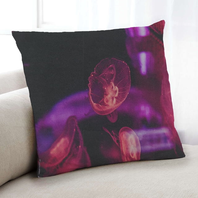 Ahgly Company Coussin Décoratif d'Intérieur Animaux Méduses, 18 Po X 18 Po