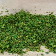 thumbnail image 4 of Milaget Micro Landscape Leaves Building Material Railway Layout for Fairy Garden Green B 33ml green, 4 of 8
