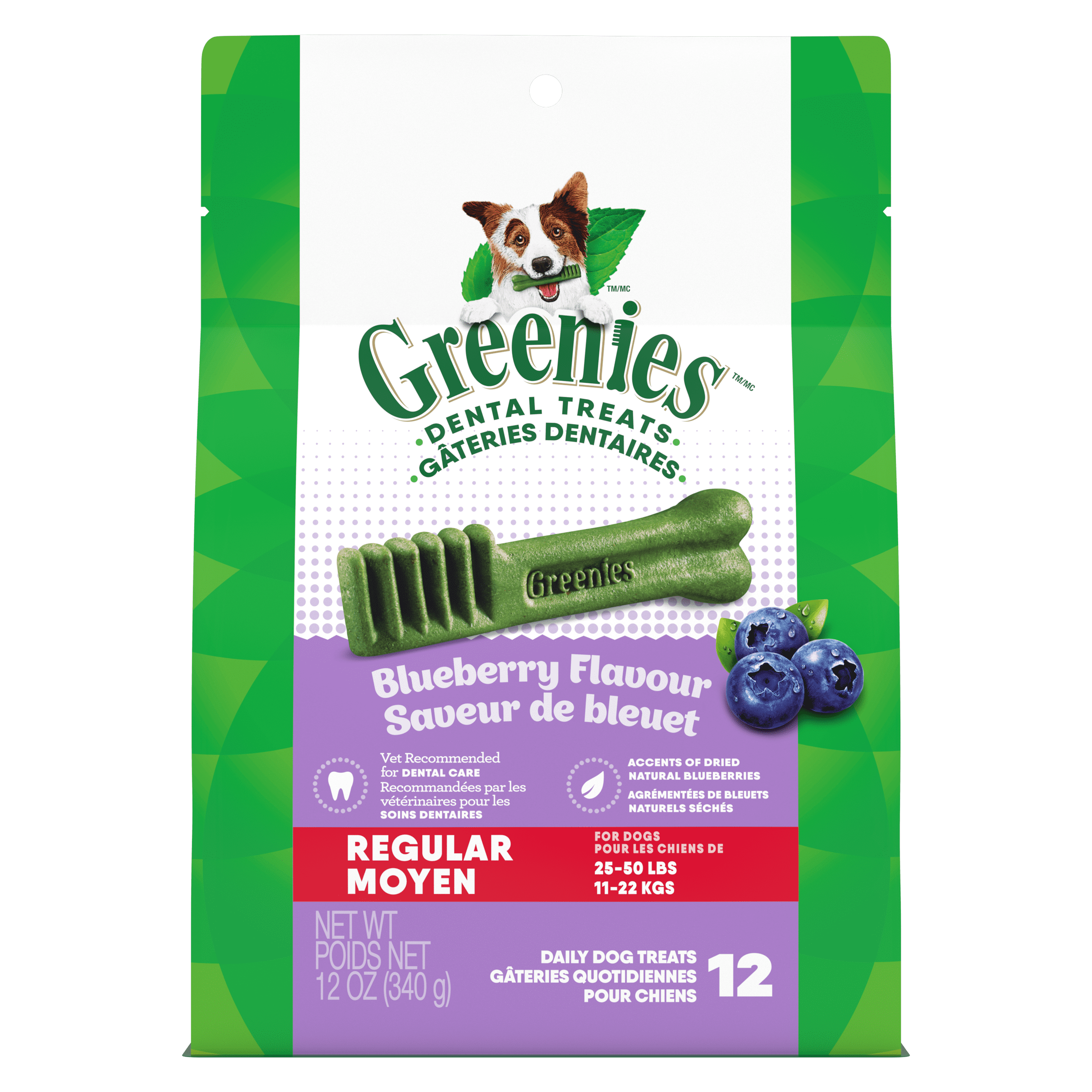 GREENIES Blueberry Flavour Regular Dental Dog Treats, 340g