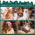 thumbnail image 5 of Costume de Noël pour Chien Petit Chien, Accessoire de Fête, 5 of 5