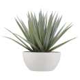 thumbnail image 1 of Bouclair Green Artificial Tropical Plant in Pot, 1 of 5
