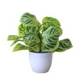 thumbnail image 1 of fastboy Artificial Potted Plant Leaf Simulation Leaves Home Office Desktop Greenery Decoration, Plant Type 8, 1 of 5