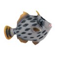 thumbnail image 1 of Jouets Poissons Rouges 30 cm Rot 30 cm Rot 30 cm Rot 30 cm Rot 30 cm Rot Jouets Animaux Marins Décorations Aquarium Jouets pour Enfants Jouets pour Tout-Petits Jouets pour Adultes Mini Jouets Poisson Poisson Poisson, 1 of 3