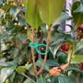 thumbnail image 2 of 100pcs Garden Plant Clip Reusable Fruits Tomato Vine Grow Support Holder Straps, 2 of 9