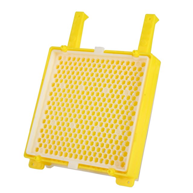 Kit Système Apiculture Kit de Greffage d'Élevage de Reines d'Abeilles Kit de Greffage de Boîte Apicole