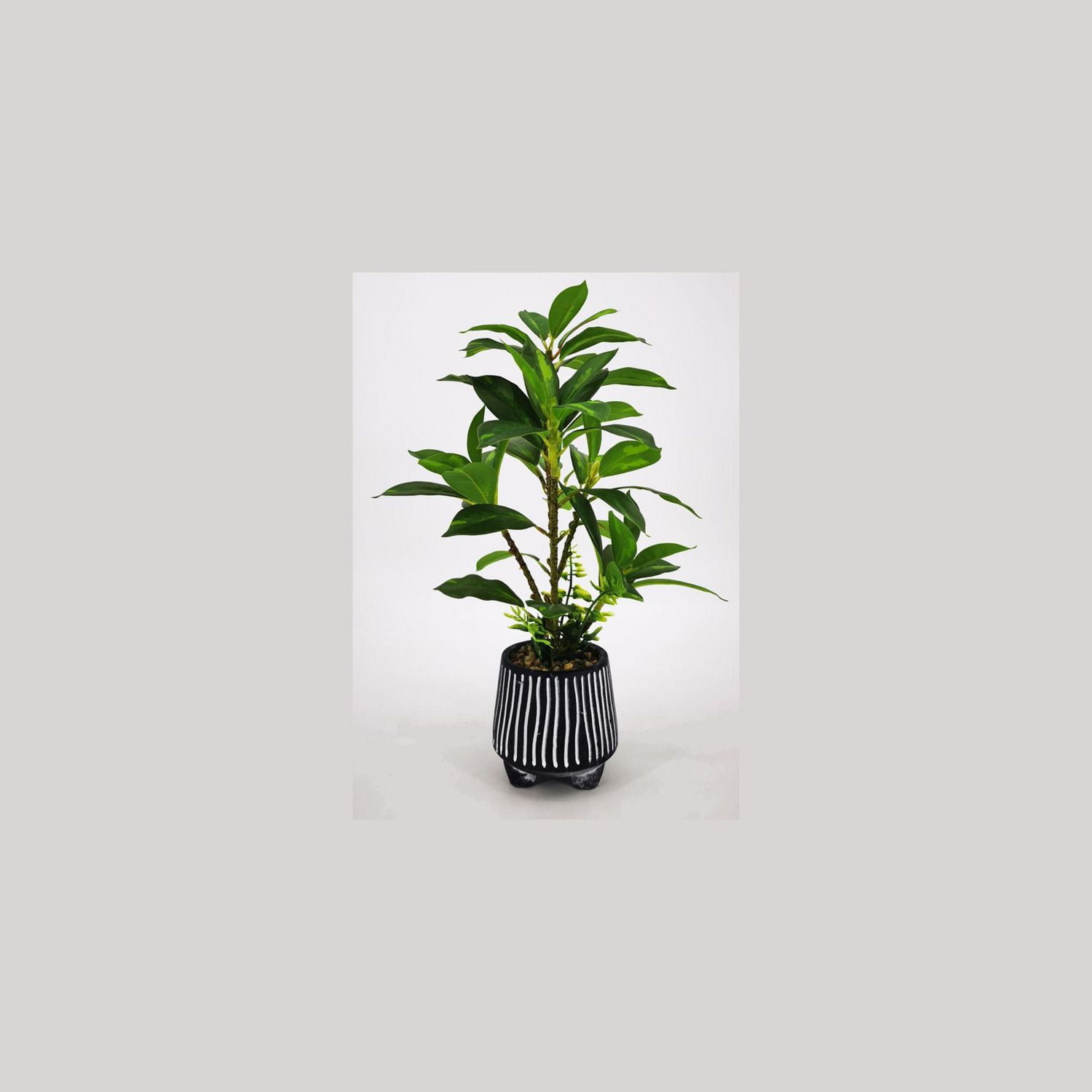 Plante en pot rayée de Lerman Decor