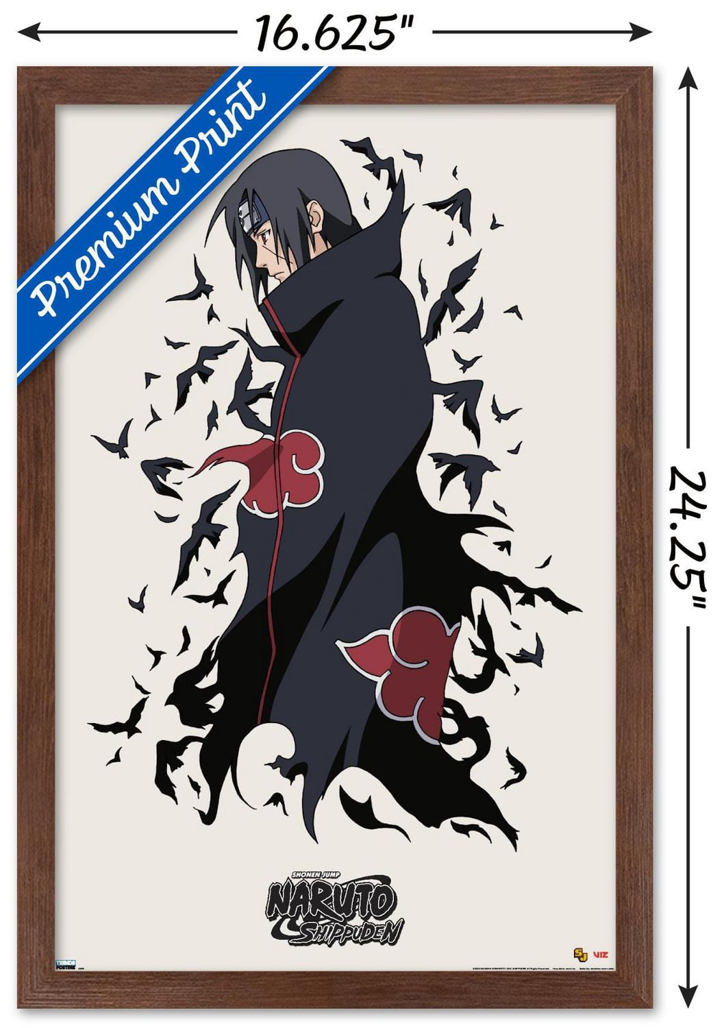 Naruto Shippûden