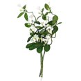 thumbnail image 1 of Vickerman FR191411 25 in. White Stephanotis Vine Flower Spray, 1 of 3