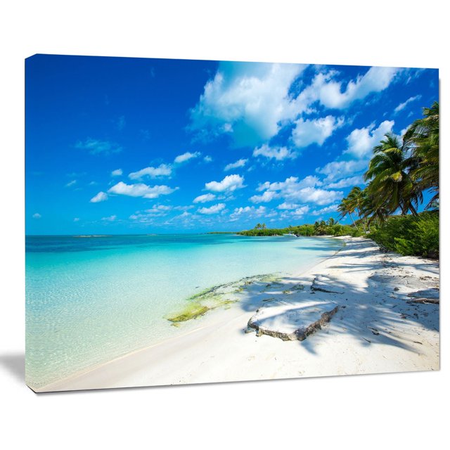 Design Art Plage Tropicale avec Ombres de Palmiers Grande Impression sur Toile de Bord de Mer Est une Toile Enveloppée de 20 par 12 Pouces Mettant en Vedette une Scène de Plage Tropicale avec des Eaux turquoise Claires, un Rivage de Sable Blanc et des Ombres de Palmier sous un Ciel Bleu Partiellement Nuageux, Prête à Accrocher comme Art Mural Idéal pour la Décoration de la Maison Ou du Bureau.