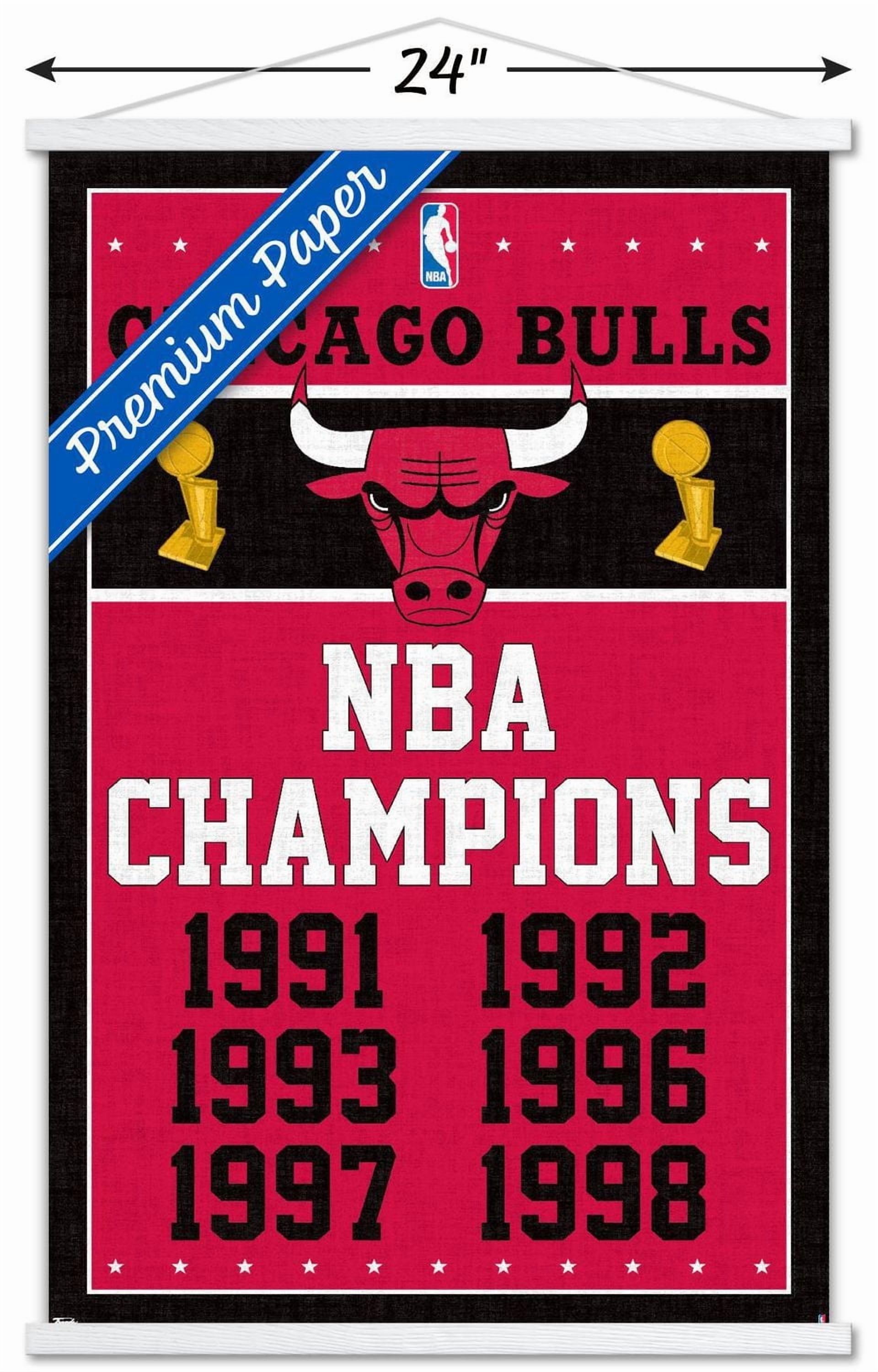 NBA Chicago Bulls - Champions 13