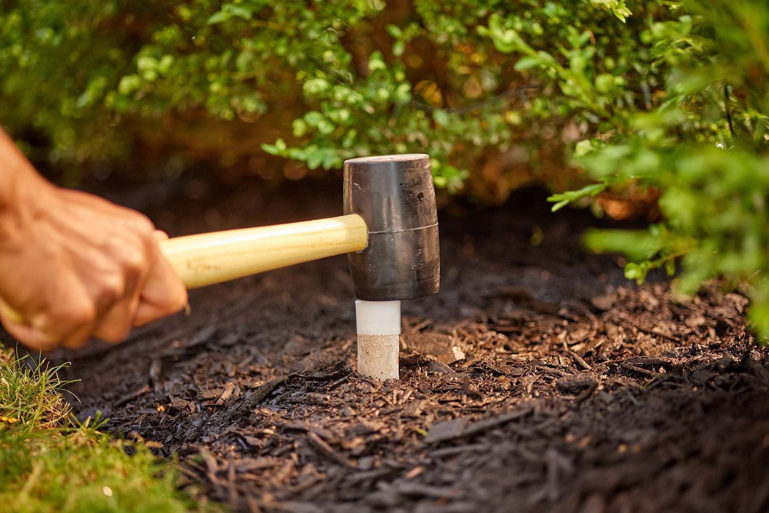 Bâtonnets d'engrais pour arbres et arbustes Miracle-Gro® 15-5-10