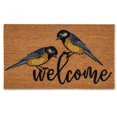 thumbnail image 1 of Set of 2 Bird Welcome Doormat, 1 of 2