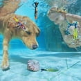 thumbnail image 4 of PVCS Swimming Pool Diving Toys For Kids Sinking Toys Set Underwater Variety Diving 4PCS, 4 of 6