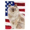 thumbnail image 1 of Carolines Treasures CK3037CHF Ragdoll Drapeau Américain Toile Taille Maison, 1 of 4