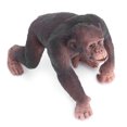 thumbnail image 2 of Animal Model, Gorilla Mode Durable 6.5 X 5.8 X 4.5cm  For Birthday Gift, 2 of 8