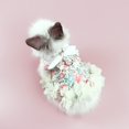 thumbnail image 3 of Rabbit Harness Leash Set Pet Clothes Dress Costume for Small Animal Chinchilla, 3 of 7