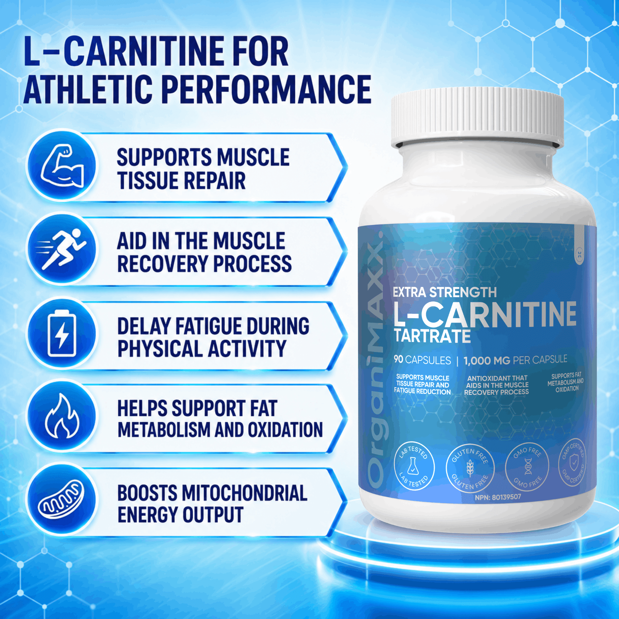 l carnitine fatigue MARNYS L-carnitine + Vitamin B5 90 capsules L-Carnitine plays a key role