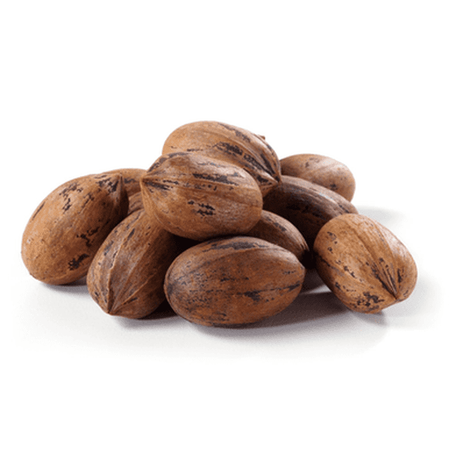 Hard Shell Pecans Bulk Food Service 25 lbs/11.33 kg