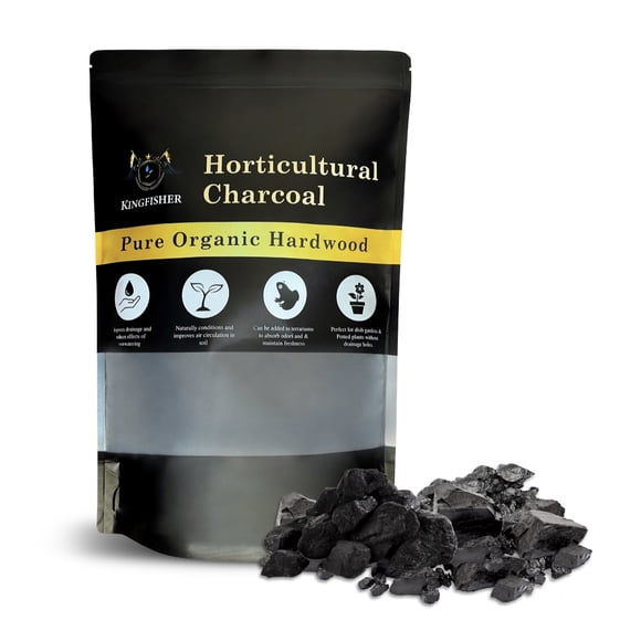 Organic Horticultural Charcoal & Terrarium Charcoal | Charcoal for Plants | Pure Hardwood Charcoal for Planting and Gardening | Organic Canadian Maple Biochar (4 Quart)