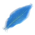 thumbnail image 3 of Abbracc 50Pcs Natural Magnolia Skeleton Leaf Leaves Cards Making Scrapbooking Crafts, 3 of 9