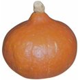 thumbnail image 1 of GSDWIUEW RED Kuri" Squash-Seed!!!~Sweet Down Under Squash! 10 Seeds, 1 of 1