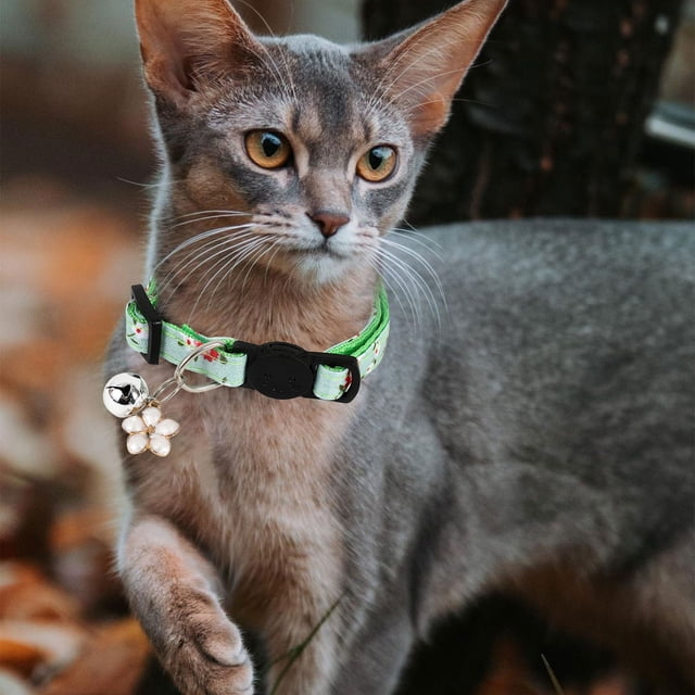 Fragmented Cat Ribbon Cat Collar Fresh Little Fragmented Cat Ribbon Cat Collar, 4x14x2 cm, Green