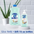 thumbnail image 3 of Dial Antibacterial Liquid Hand Soap, Coconut Water & Mango, 1.53 L, 3 of 7