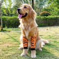 thumbnail image 4 of Dog Surgery Recovery Sleeve For Front Legs, Soft Padded Dog Elbow Brace Breathable Prevent Licking Dog Front Legs Sleeve Pet Leg Wounds Protector Dog Short Pants For Small Medium, 4 of 8