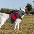 thumbnail image 4 of Amdohai Pet Chest Strap with Handle Reflective Dog Vest Harness Adjustable, 4 of 7