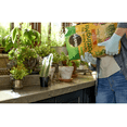 thumbnail image 2 of Miracle-Gro Cactus, Palm & Citrus Potting Mix and Miracle-Gro Succulent Plant Food, 2 of 5
