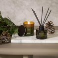 thumbnail image 2 of Bouclair Dark Green Boreal Forest Diffuser and Candle Set, 2 of 4