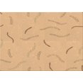 thumbnail image 1 of Ahgly Company Tapis d'Intérieur Lavables en Machine, Rectangle, Zone Orange, 7' x 9', 1 of 7