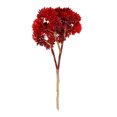 thumbnail image 2 of Artificial Rice Seed Fruit Flower Rustic Fake Flower Wedding floral decor artificial Party Floral Decor Home Ornament, Red, 2 of 6