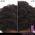 thumbnail image 3 of Redken Invisible Dry Shampoo 5.0oz, 3 of 4